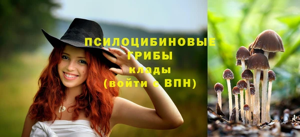 кристаллы Алексин