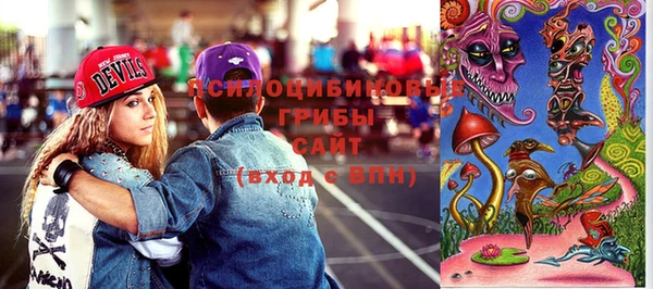 индика Алексеевка