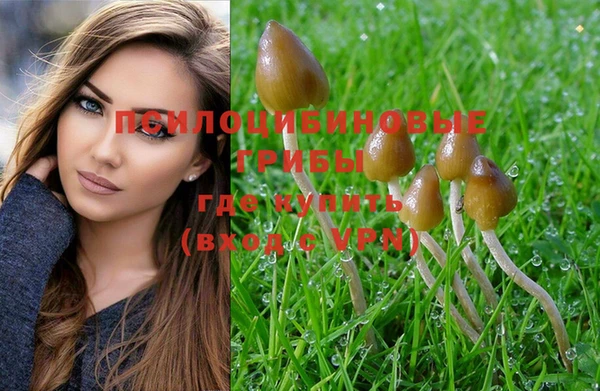 индика Алексеевка