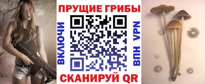 что такое наркотик  Калязин  Галлюциногенные грибы MAGIC MUSHROOMS 
